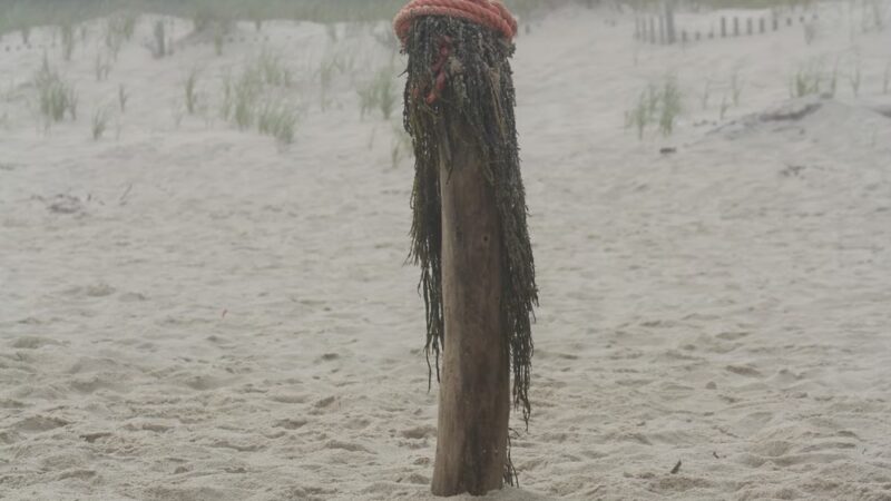 Mecox Beach - Bridgehampton, NY