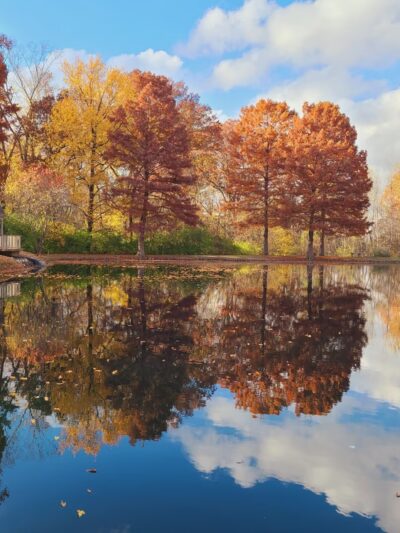 Hellebusch Park - Bridgeton, MO