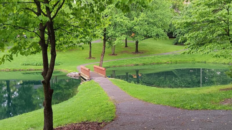 Hellebusch Park - Bridgeton, MO