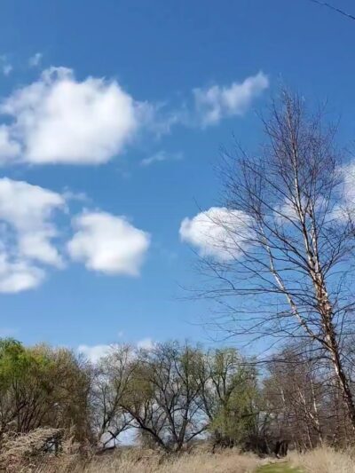 Finderne Wetlands - Bridgewater, NJ
