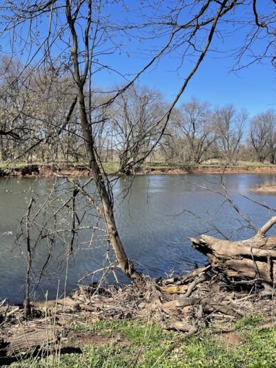 Finderne Wetlands - Bridgewater, NJ