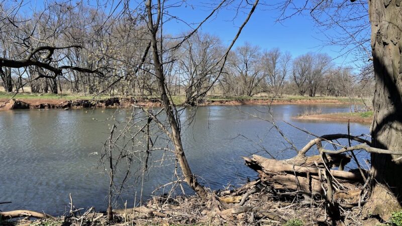 Finderne Wetlands - Bridgewater, NJ