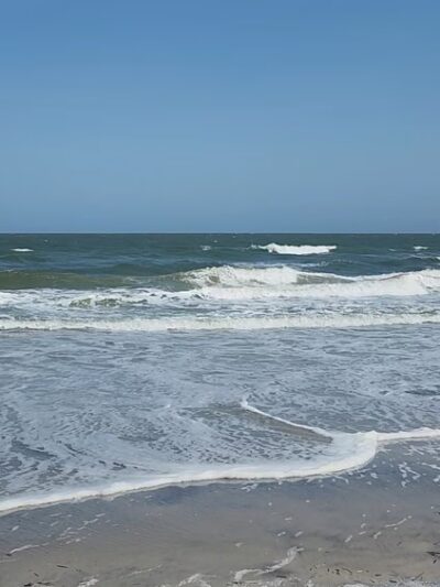 North Brigantine Natural Area - Brigantine, NJ