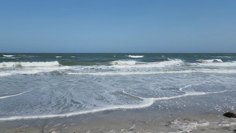 North Brigantine Natural Area - Brigantine, NJ