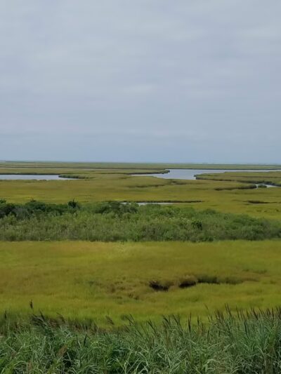 North Brigantine Natural Area - Brigantine, NJ