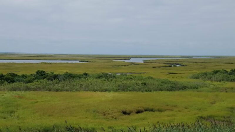 North Brigantine Natural Area - Brigantine, NJ