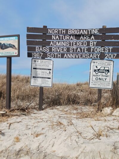 North Brigantine Natural Area - Brigantine, NJ