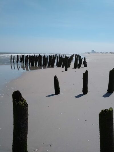 North Brigantine Natural Area - Brigantine, NJ