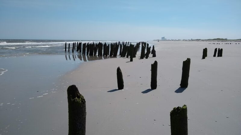 North Brigantine Natural Area - Brigantine, NJ