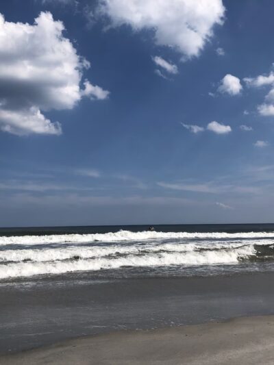 Shark Park - Brigantine, NJ