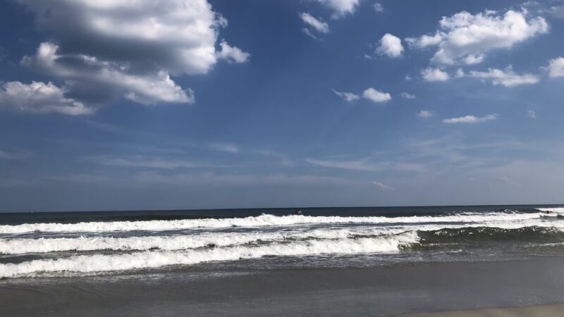 Shark Park - Brigantine, NJ