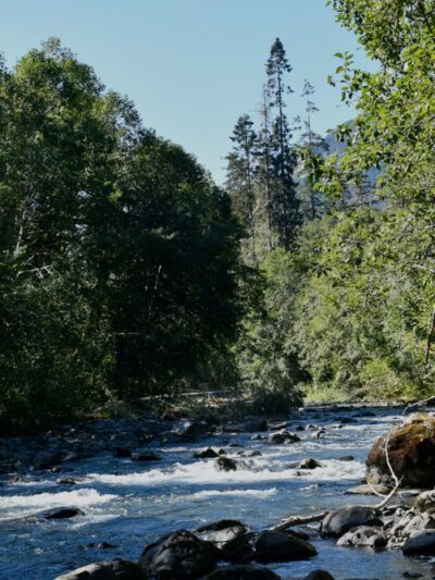 Dosewallips Road Trailhead - Brinnon, WA