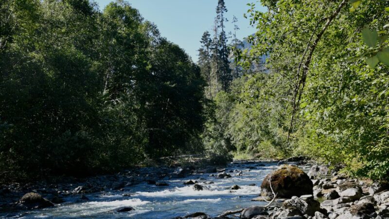 Dosewallips Road Trailhead - Brinnon, WA