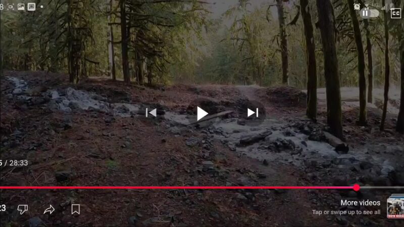 Dosewallips Road Trailhead - Brinnon, WA