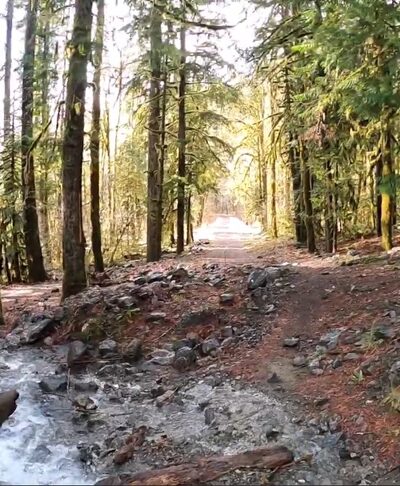 Dosewallips Road Trailhead - Brinnon, WA