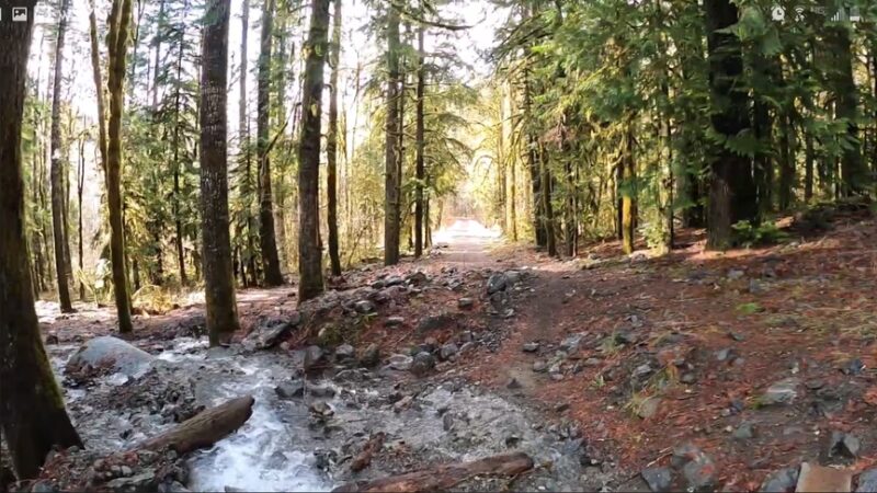 Dosewallips Road Trailhead - Brinnon, WA
