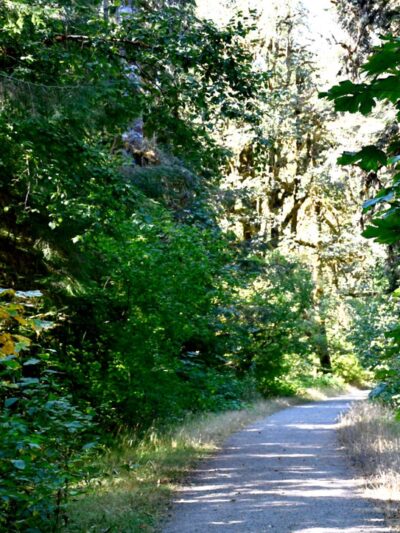 Dosewallips Road Trailhead - Brinnon, WA