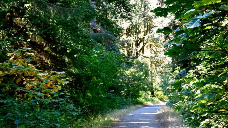Dosewallips Road Trailhead - Brinnon, WA
