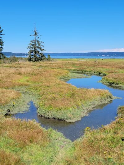 Dosewallips State Park - Brinnon, WA