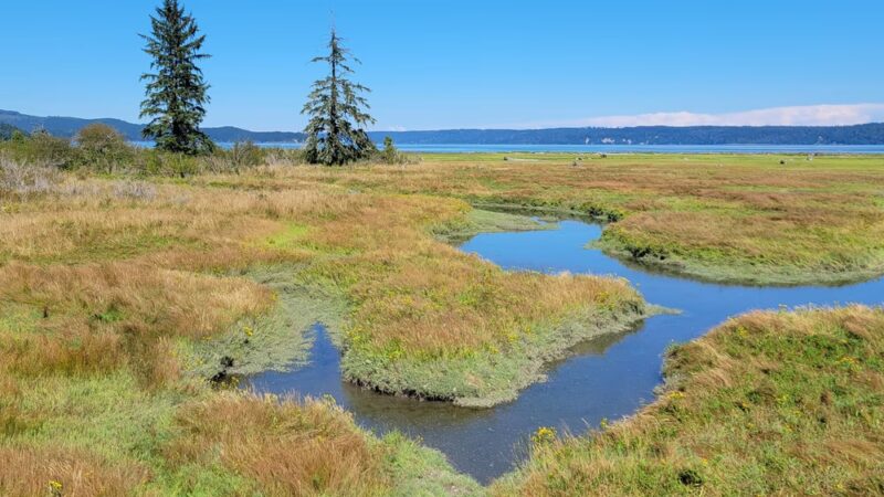 Dosewallips State Park - Brinnon, WA