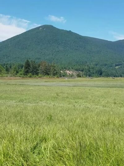 Dosewallips State Park - Brinnon, WA