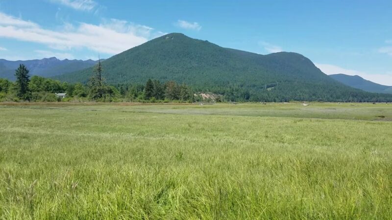 Dosewallips State Park - Brinnon, WA