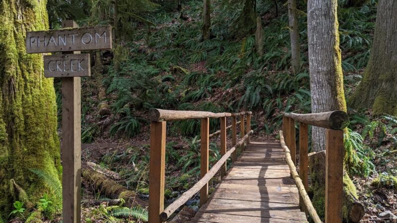 Dosewallips State Park - Brinnon, WA