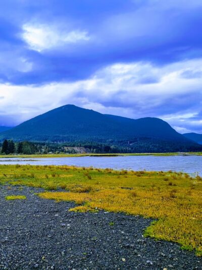 Dosewallips State Park - Brinnon, WA