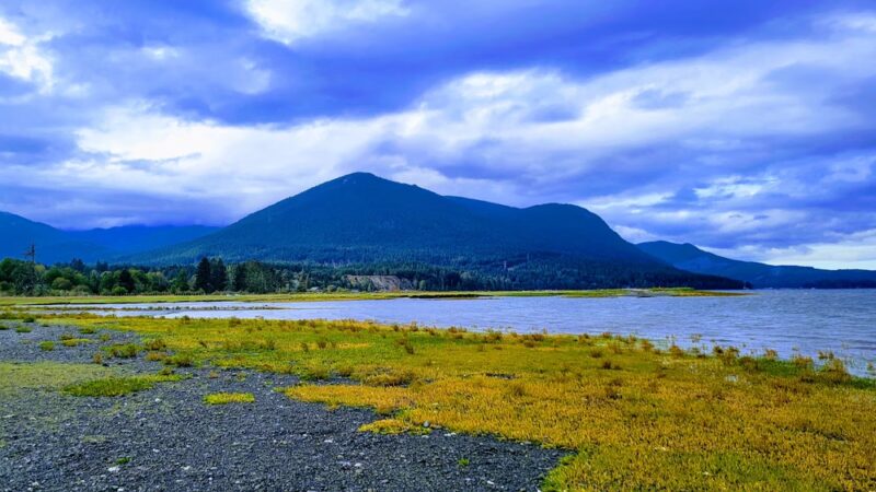 Dosewallips State Park - Brinnon, WA