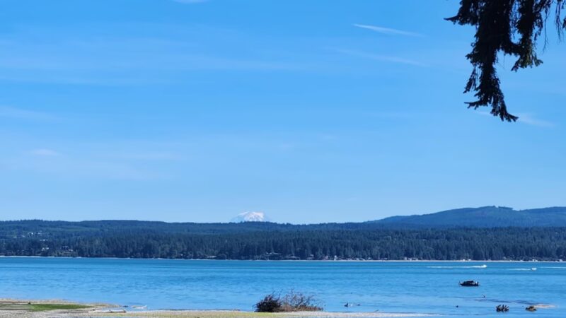 Geoduck Restaurant and Lounge - Brinnon, WA