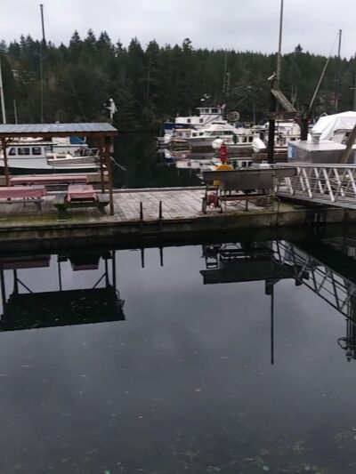 Pleasant Harbor State Park - Brinnon, WA