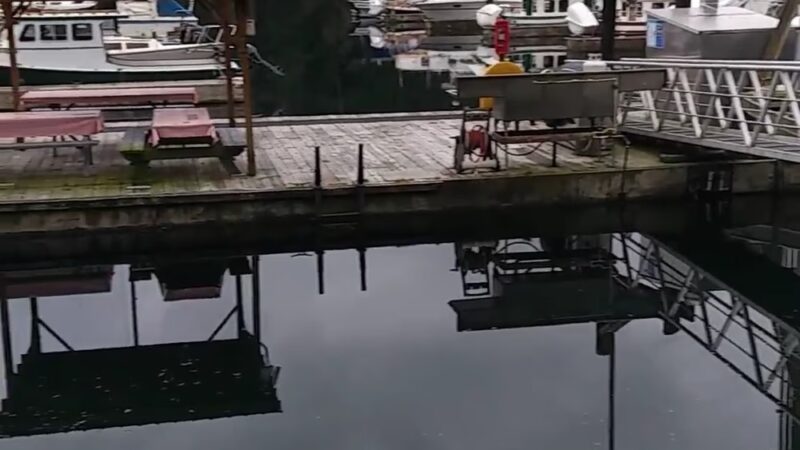 Pleasant Harbor State Park - Brinnon, WA