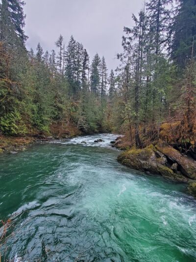 Ranger Hole Trailhead - Brinnon, WA
