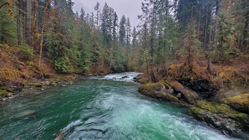 Ranger Hole Trailhead - Brinnon, WA