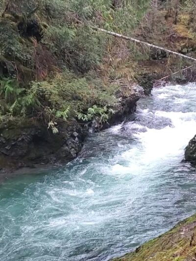Ranger Hole Trailhead - Brinnon, WA