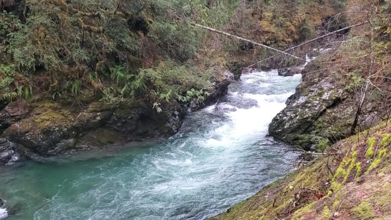 Ranger Hole Trailhead - Brinnon, WA