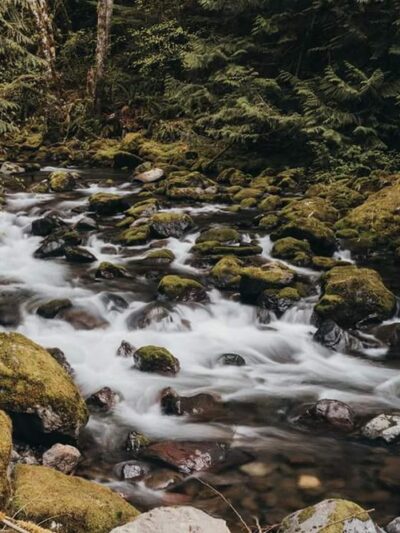Rocky Brook Falls - Brinnon, WA