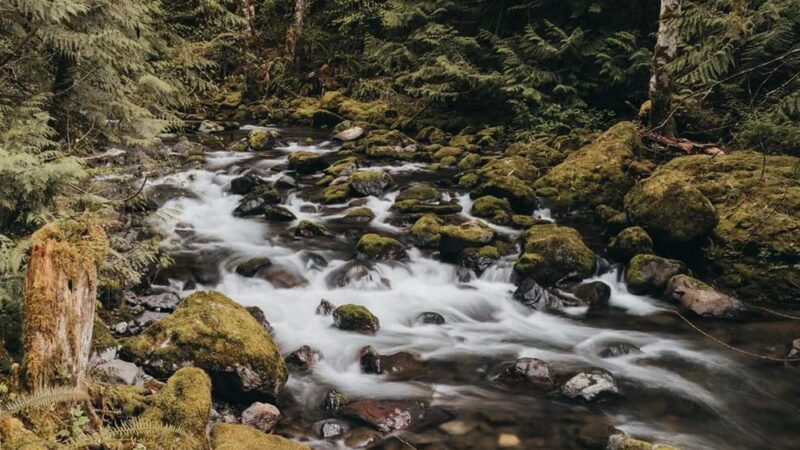 Rocky Brook Falls - Brinnon, WA