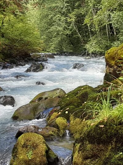 Rocky Brook Falls - Brinnon, WA