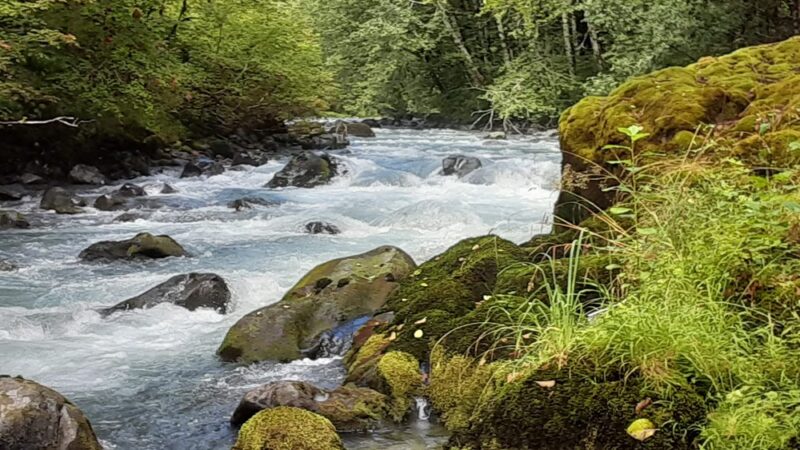 Rocky Brook Falls - Brinnon, WA
