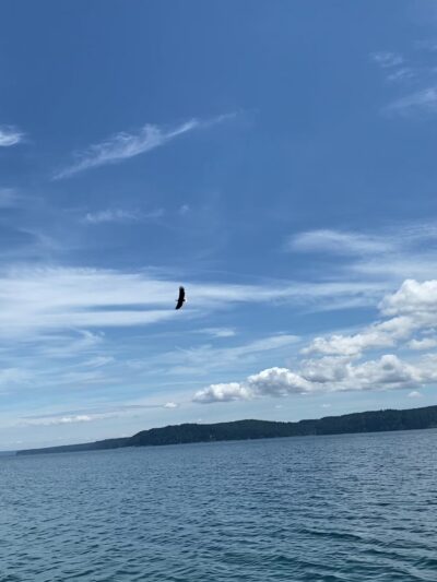 Triton Cove State Park - Brinnon, WA
