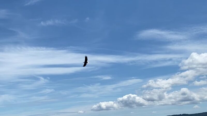 Triton Cove State Park - Brinnon, WA