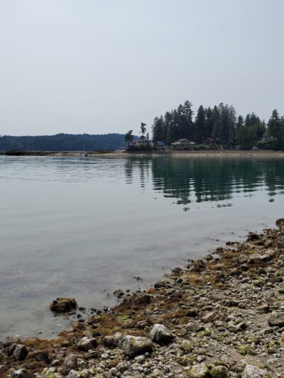 Triton Cove State Park - Brinnon, WA