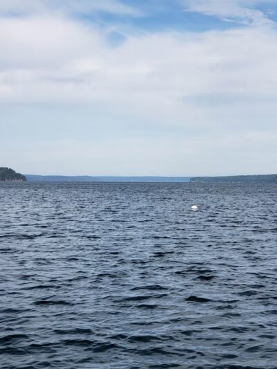 Triton Cove State Park - Brinnon, WA