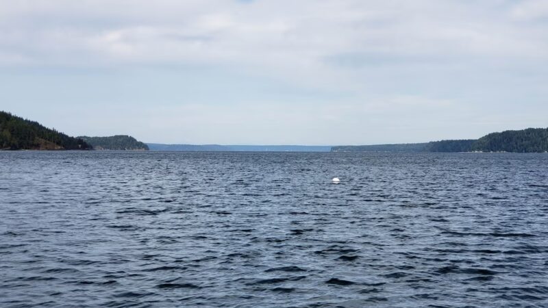 Triton Cove State Park - Brinnon, WA