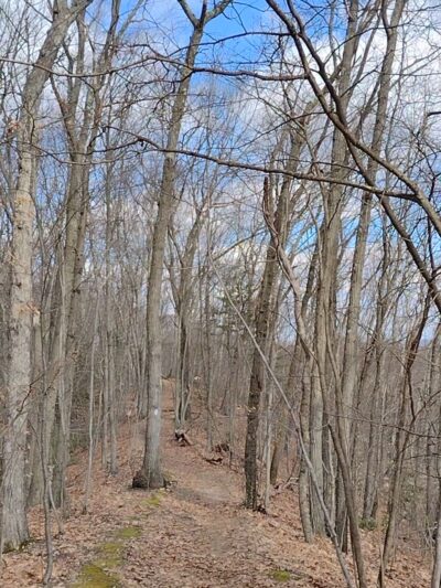 Birge Pond/Hoppers - Bristol, CT
