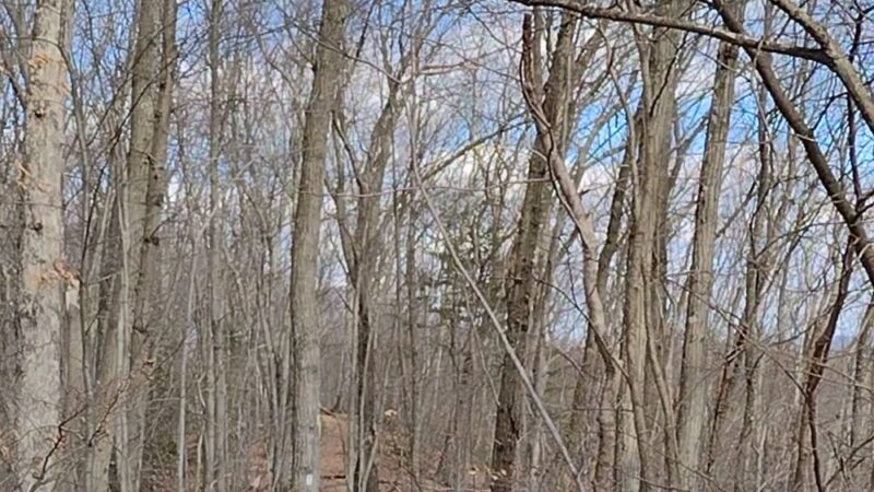 Birge Pond/Hoppers - Bristol, CT