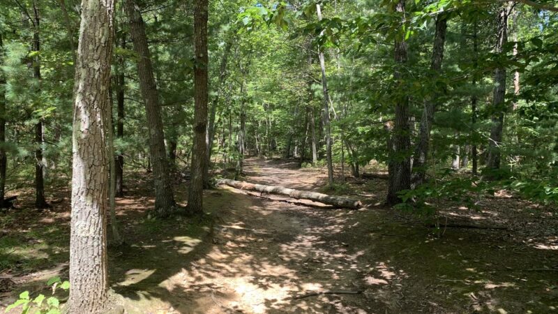 Birge Pond/Hoppers - Bristol, CT