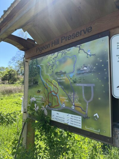 Pigeon Hill Preserve - Bristol, CT