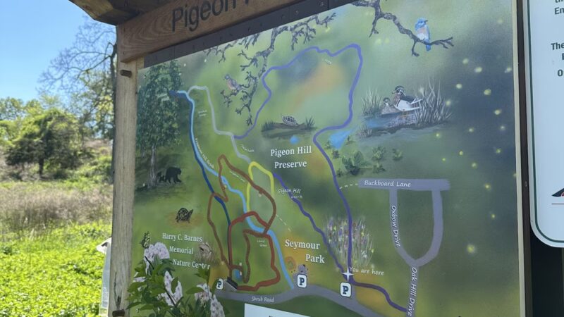 Pigeon Hill Preserve - Bristol, CT